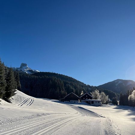 Vila Plaik-Haeusl Annaberg im Lammertal Exteriér fotografie