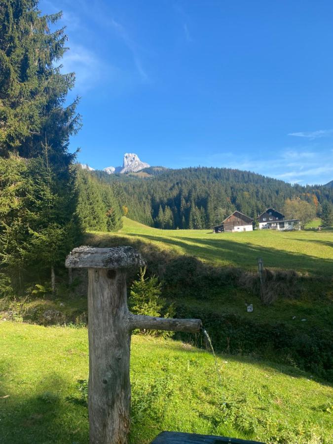 Vila Plaik-Haeusl Annaberg im Lammertal Exteriér fotografie